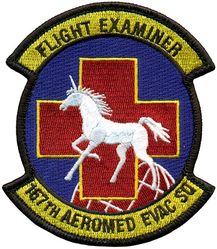 167th Aeromedical Evacuation Squadron Flight Examiner
