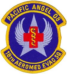 18th Aeromedical Evacuation Squadron Operation PACIFIC ANGEL 2008
