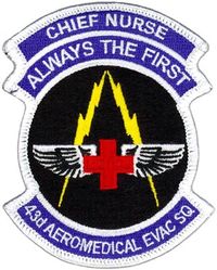 43d Aeromedical Evacuation Squadron Chief Nurse
