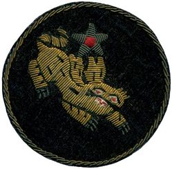 14th Air Force
Established as Fourteenth Air Force on 5 Mar 1943. Activated on 10 Mar 1943. Inactivated on 6 Jan 1946.

Insignia approved on 6 Aug 1943. CBI made bullion embroidery on velvet.

Stations. Kunming, China, 10 Mar 1943; Peishiyi, China, 7 Aug-c. 15 Dec 1945; Fort Lawton, WA, 5-6 Jan 1946.

