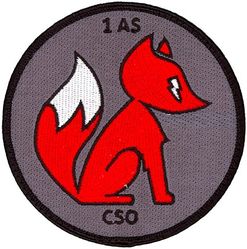 1st Airlift Squadron Combat Systems Operator
