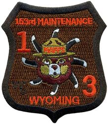153d Maintenance Squadron Modular Airborne Fire Fighting System
