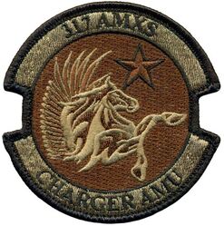 317th Aircraft Maintenance Squadron Charger Aircraft Maintenance Unit
Keywords: OCP