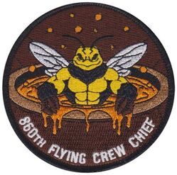 860th Aircraft Maintenance Squadron Crew Chief
