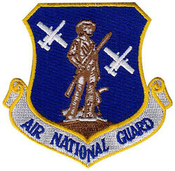 Air National Guard A-10
