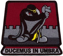 384th Air Refueling Squadron Morale
