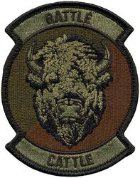 139th Airlift Squadron Morale
Keywords: OCP