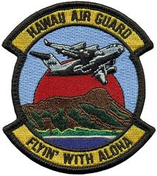204th Airlift Squadron C-17
