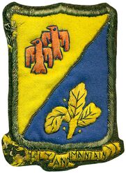 332d Air Service Group
iInsignia Italian made
