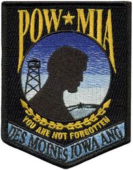 124th Attack Squadron Morale
