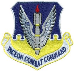 15th Attack Squadron Air Combat Command Morale
