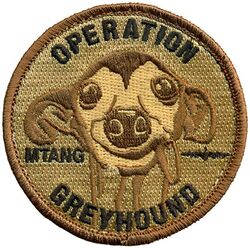 120th Airlift Wing Operation GREYHOUND
