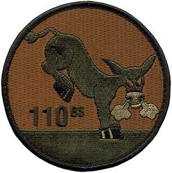 110th Bomb Squadron
Keywords: OCP
