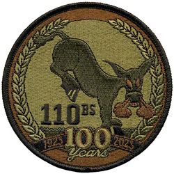 110th Bomb Squadron 100th Anniversary
Keywords: OCP