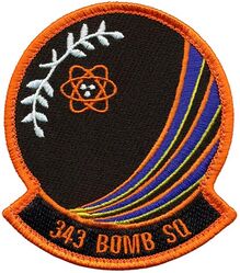 343d Bomb Squadron
