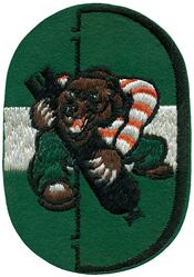 853d Bombardment Squadron, Heavy
Constituted 853 Bombardment Squadron (Heavy) on 14 Sep 1943. Activated on 1 Oct 1943. Inactivated on 8 Sep 1945.

Stations. Davis-Monthan Field, AZ, 1 Oct 1943; El Paso, TX, 11 Nov 1943-1 Jan 1944; England, 1 Jan 1944; North Pickenham, England, Mar 1944; Metfield, England, Apr 1944; North Pickenham, England, 15 Aug 1944-5 Jul 1945; McChord Field, WA, 17 Jul-8 Sep 1945.


