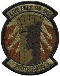 260th Combat Airfield Operations Squadron
