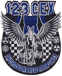 123d Civil Engineer Squadron Contingency Support Directorate
