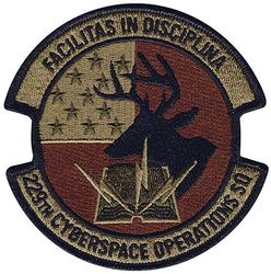 229th Cyberspace Operations Squadron
Keywords: OCP