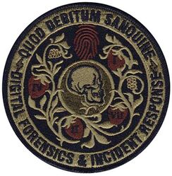 33d Cyberspace Operations Squadron Digital Forensics Incident Response Team
Keywords: OCP