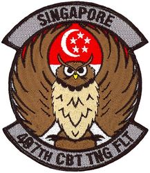 497th Combat Training Flight
