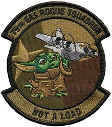 75th Expeditionary Airlift Squadron Morale
