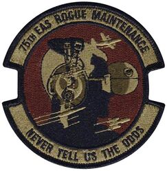 75th Expeditionary Airlift Squadron Maintenance Morale
Keywords: OCP