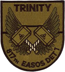 817th Expeditionary Air Support Operations Squadron Detachment 1 
Keywords: OCP
