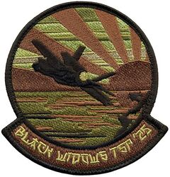 421st Expeditionary Fighter Squadron Theater Security Package Deployment 2025
Keywords: OCP