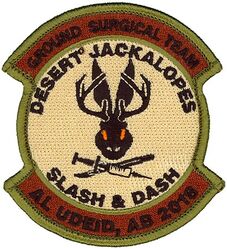 379th Expeditionary Medical Group Morale Ground Surgical Team 2018
