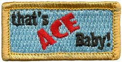 323d Expeditionary Reconnaissance Squadron Morale Pencil Pocket Tab
