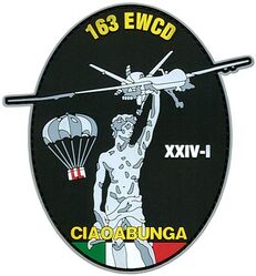 163d Electromagnetic Warfare Combat Detachment 2024-1
