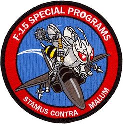Air Force Life Cycle Management Center F-15 Eagle Division
Provides integrated weapon system management and sustainment activities for F-15 aircraft. Performs financial analysis and provides fiscal leadership across the F-15 enterprise. Also provides overall engineering authority for the F-15A-E models. 
