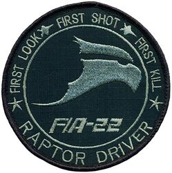 Lockheed Martin F/A-22 Raptor Pilot
