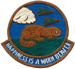 123d Fighter-Interceptor Squadron Morale
