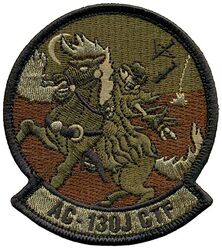 417th Flight Test Squadron AC-130J Combined Test Force
Keywords: OCP