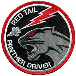 100th Fighter Squadron F-35 Pilot
