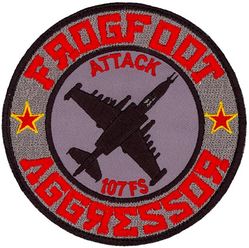 107th Fighter Squadron Aggressor
