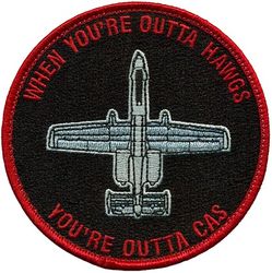 107th Fighter Squadron A-10 Morale
