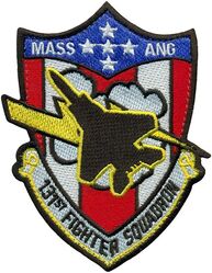 131st Fighter Squadron F-15 
