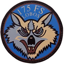 175th Fighter Squadron 

