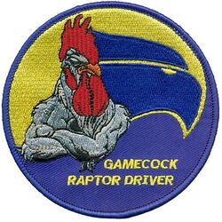 19th Fighter Squadron F-22 Pilot
