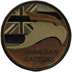 199th Fighter Squadron F-22
Keywords: OCP
