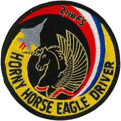 2d Fighter Squadron F-15 Pilot
