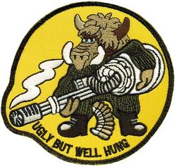 25th Fighter Squadron A-10
