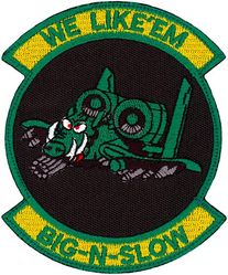 25th Fighter Squadron Morale
