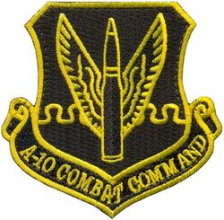 303d Fighter Squadron A-10 Morale
