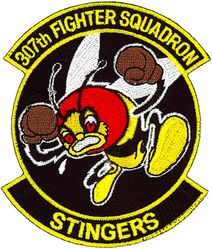307th Fighter Squadron

