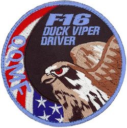 309th Fighter Squadron F-16 Pilot
