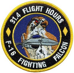 314th Fighter Squadron F-16 31.4 Flight Hours
